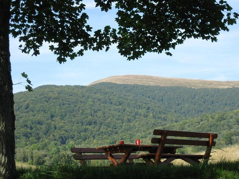 Caloroczne Domki Zacisze Hnatowego Berda W Wetlinie Wetlina Extérieur photo