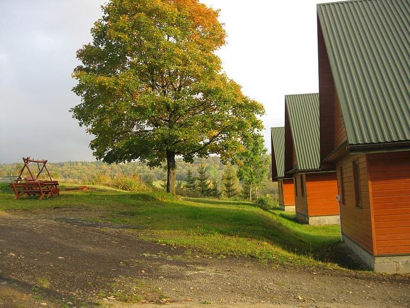 Caloroczne Domki Zacisze Hnatowego Berda W Wetlinie Wetlina Extérieur photo